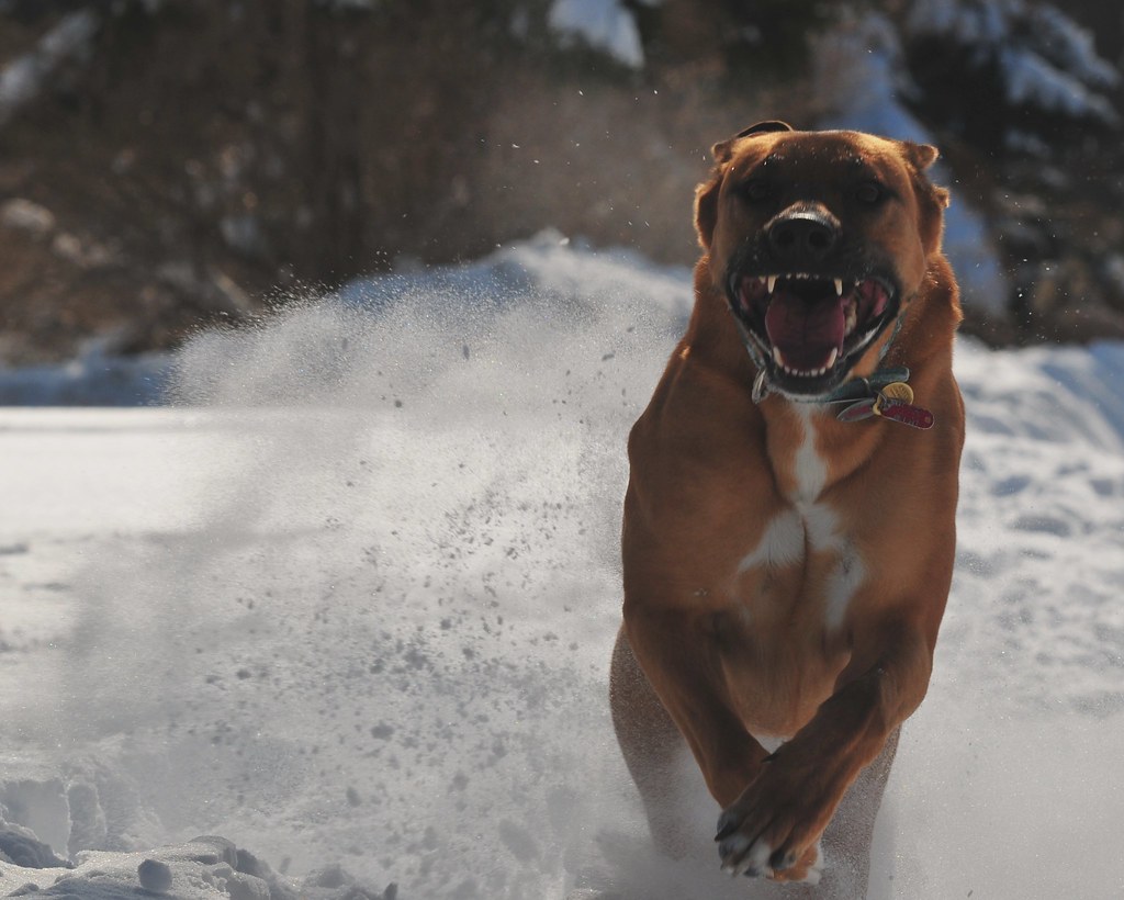 Happy person with healthy bright smile showing dental care results